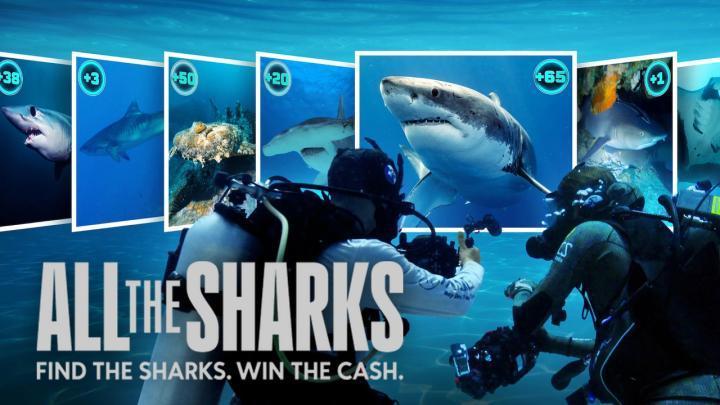 حصرياً | مسلسل All the Sharks الموسم الاول الحلقة 3 بجودة عالية